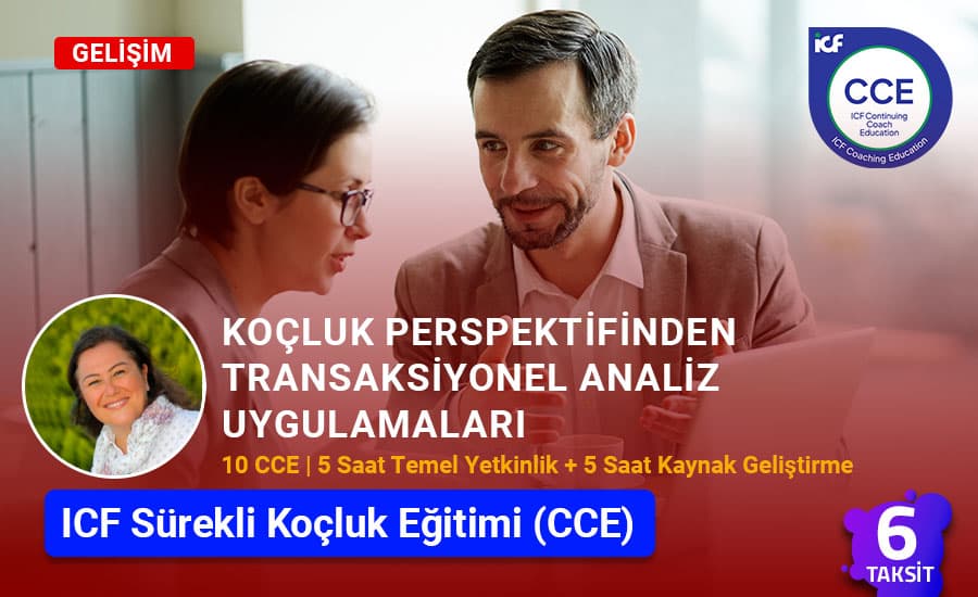 Koçluk Perspektifinden Transaksiyonel Analiz Uygulamaları