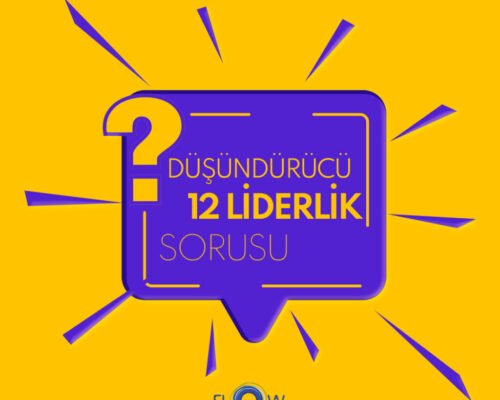 Düşündürücü 12 Liderlik Sorusu